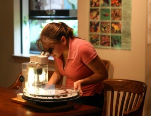 Girl looking into microscope